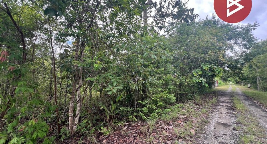 For sale land in Mae Rim, Chiang Mai