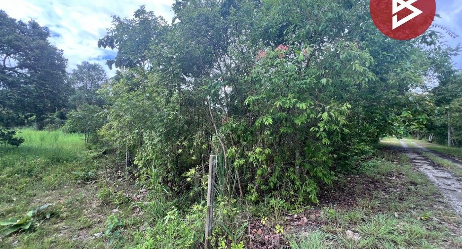 For sale land in Mae Rim, Chiang Mai