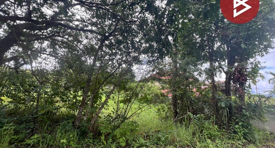 For sale land in Mae Rim, Chiang Mai