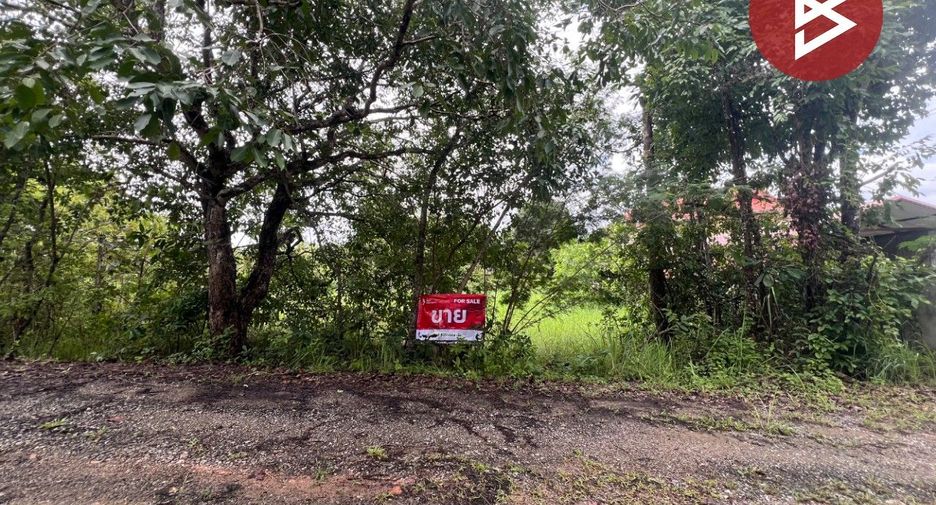For sale land in Mae Rim, Chiang Mai