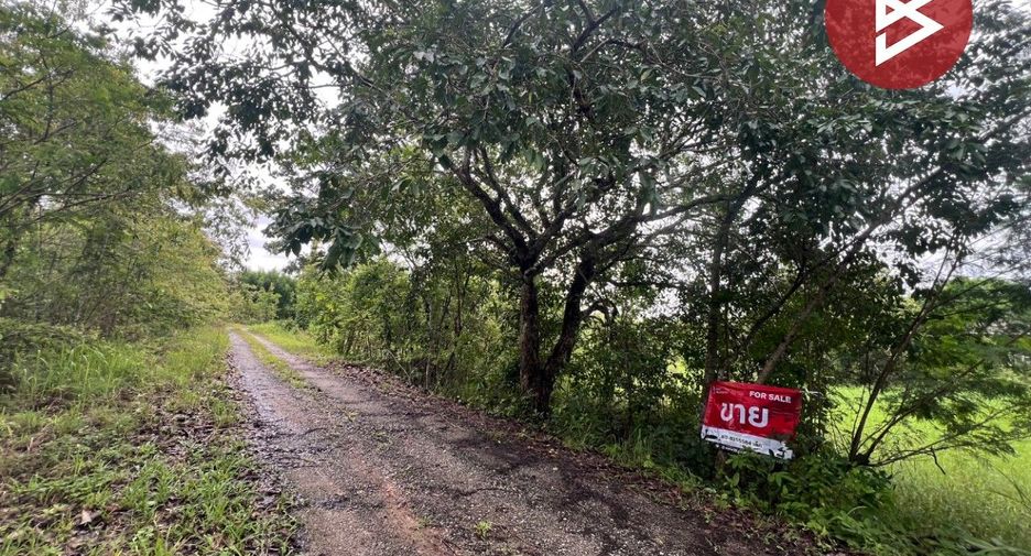 For sale land in Mae Rim, Chiang Mai