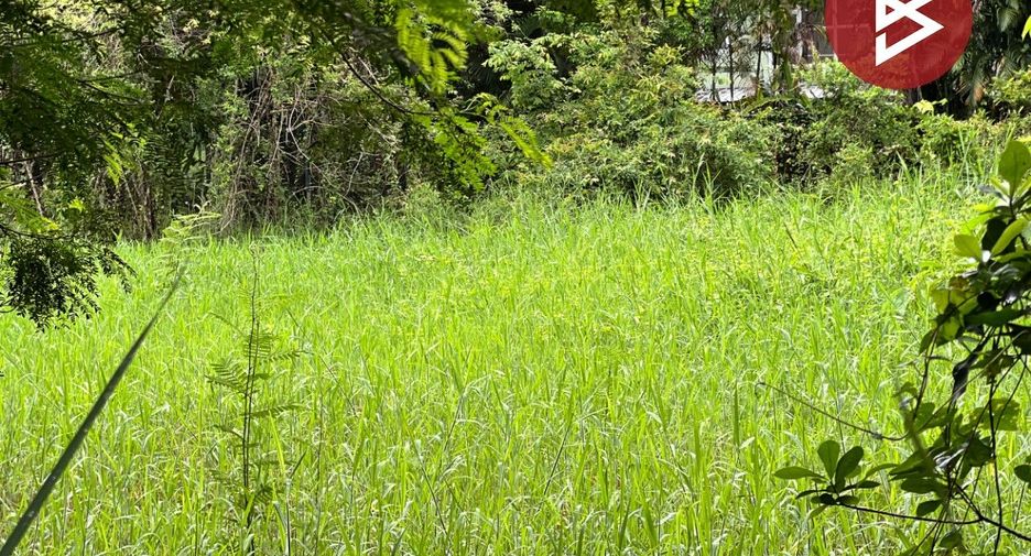 For sale land in Mae Rim, Chiang Mai