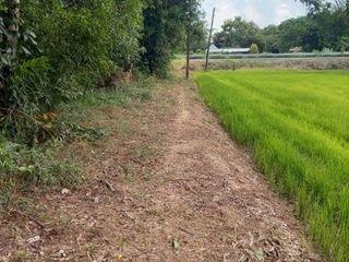 For sale land in Mueang Nakhon Nayok, Nakhon Nayok