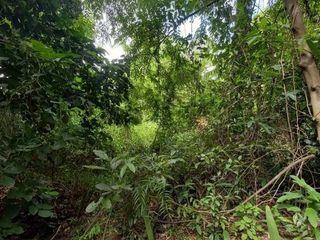 For sale land in Mueang Nakhon Nayok, Nakhon Nayok