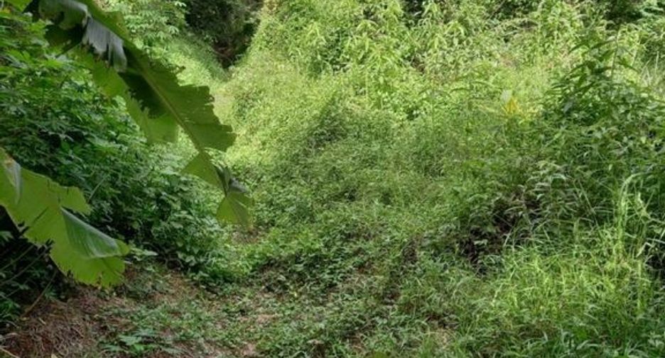 For sale land in Mueang Nakhon Nayok, Nakhon Nayok