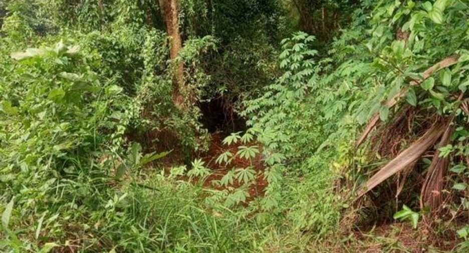 For sale land in Mueang Nakhon Nayok, Nakhon Nayok
