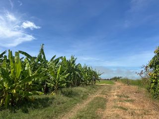 For sale land in Mueang Chachoengsao, Chachoengsao