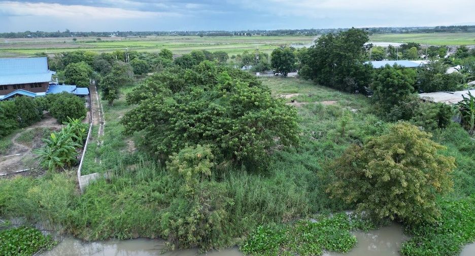 For sale land in Ban Phraek, Phra Nakhon Si Ayutthaya