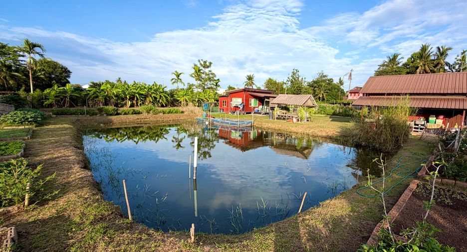 For sale 3 bedrooms house in San Sai, Chiang Mai
