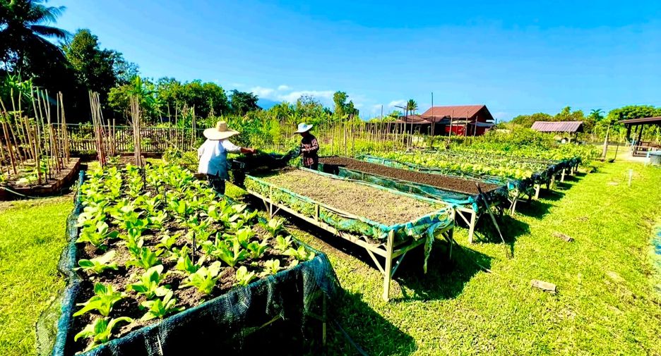 For sale 3 bedrooms house in San Sai, Chiang Mai