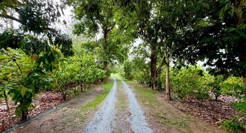 For sale 3 bedrooms house in San Sai, Chiang Mai