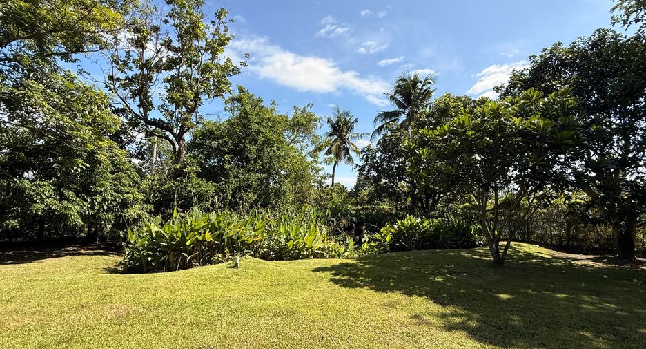 For sale 3 bedrooms house in San Sai, Chiang Mai