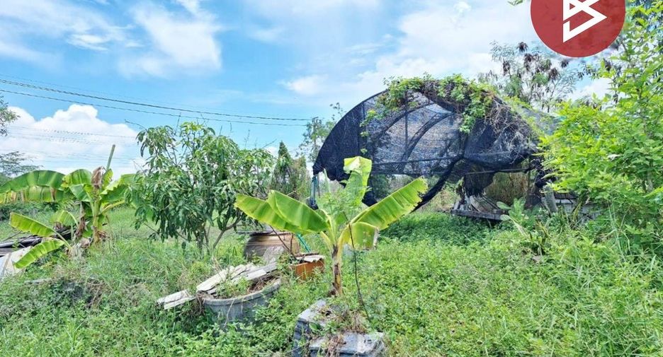 For sale land in Nong Chok, Bangkok