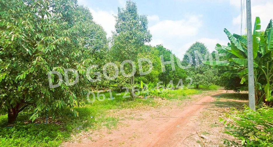 Продажа Участок в Mueang Prachinburi, Прачинбури