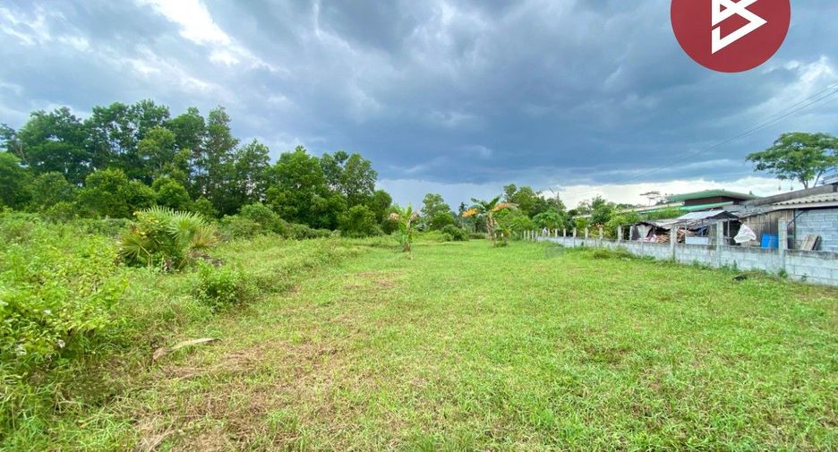 Grundstück zum Kauf in Cha-uat, Nakhon Si Thammarat
