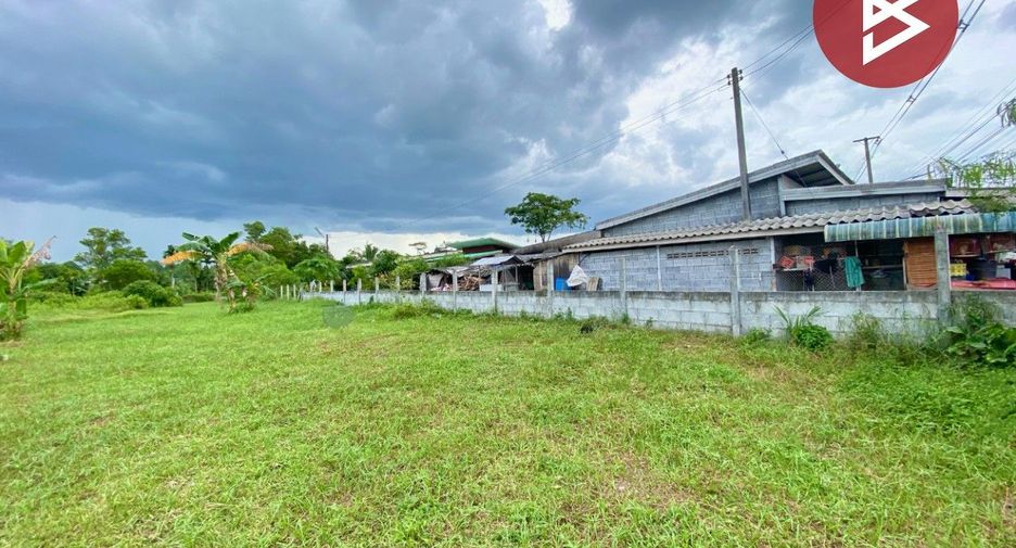 Grundstück zum Kauf in Cha-uat, Nakhon Si Thammarat