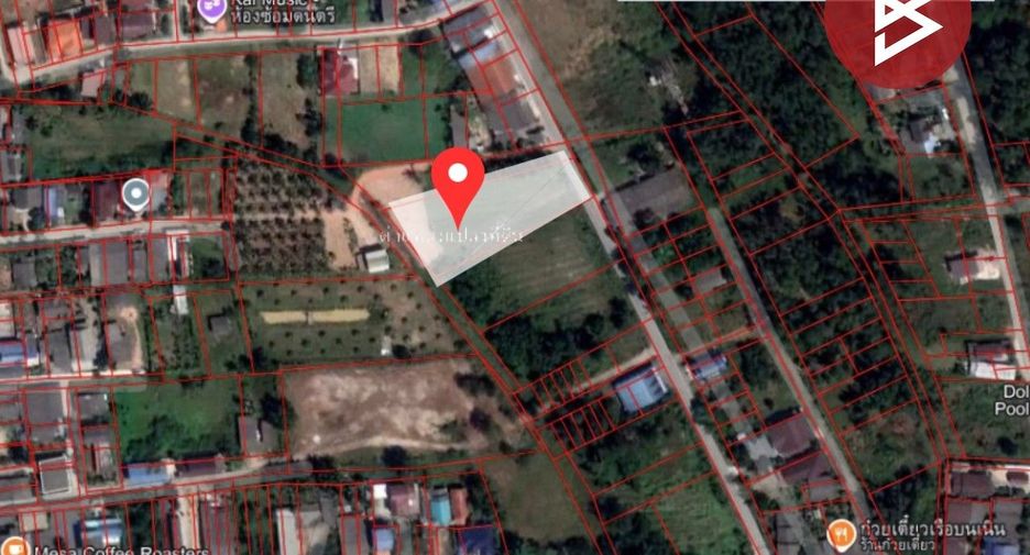 Grundstück zum Kauf in Cha-uat, Nakhon Si Thammarat