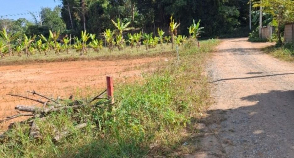For sale land in Mueang Chiang Rai, Chiang Rai