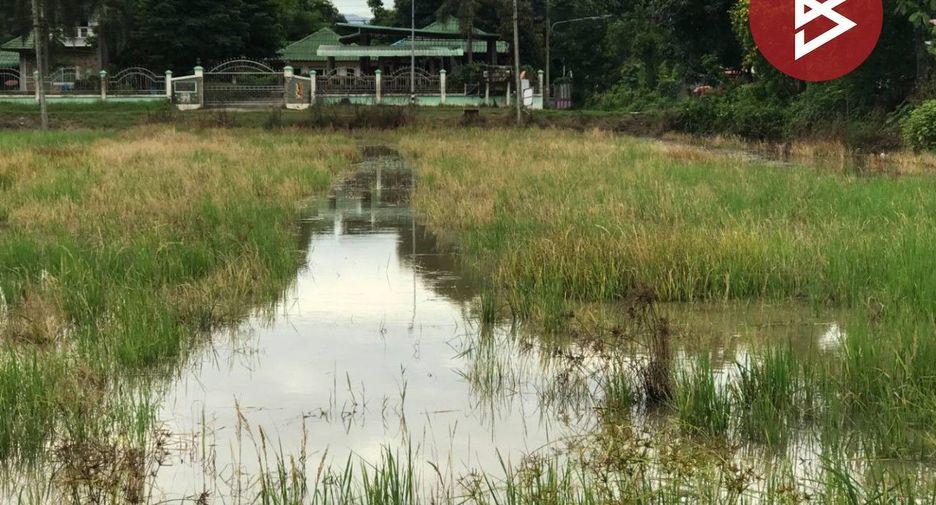 For sale land in Den Chai, Phrae