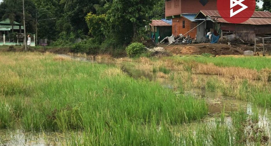 For sale land in Den Chai, Phrae