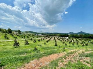 Terreno en venta en Soi Dao, Chanthaburi