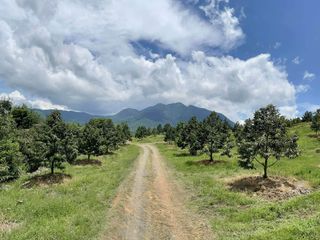 Terreno en venta en Soi Dao, Chanthaburi