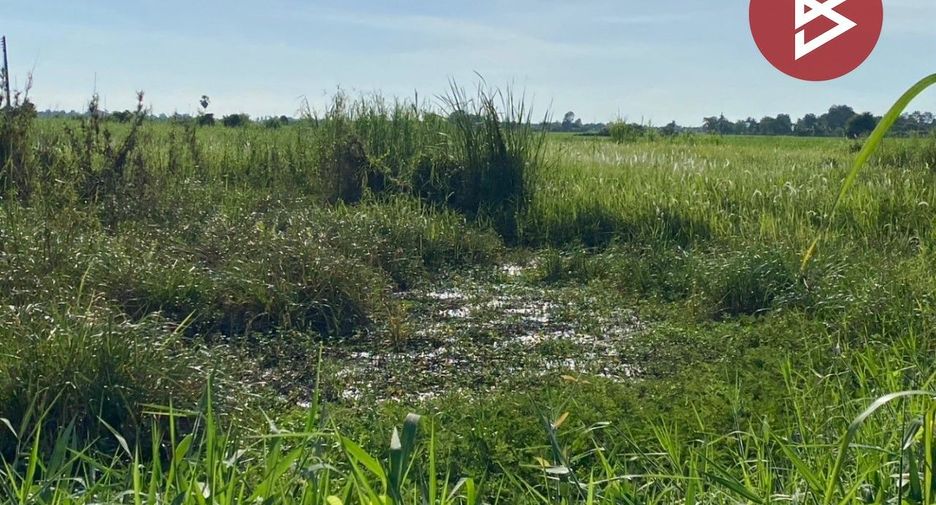 Grundstück zum Kauf in Khlong Khlung, Kamphaeng Phet