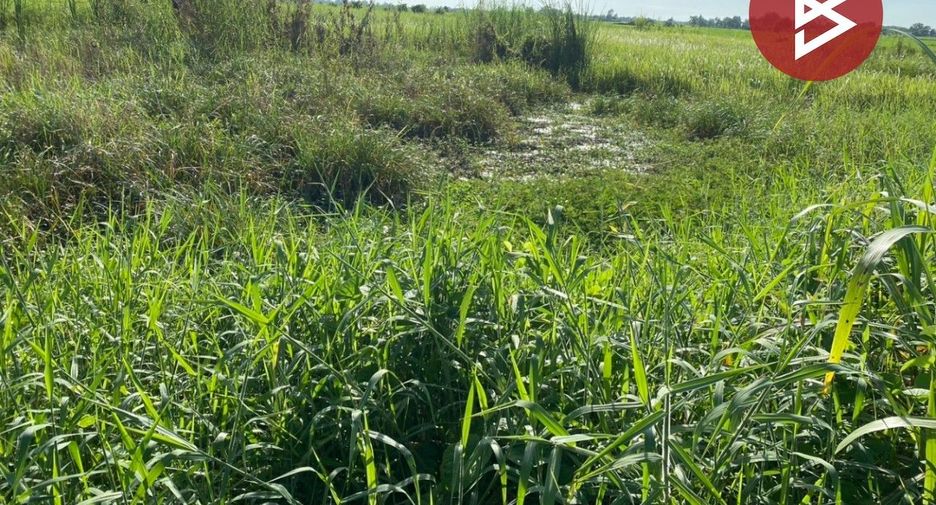 Grundstück zum Kauf in Khlong Khlung, Kamphaeng Phet