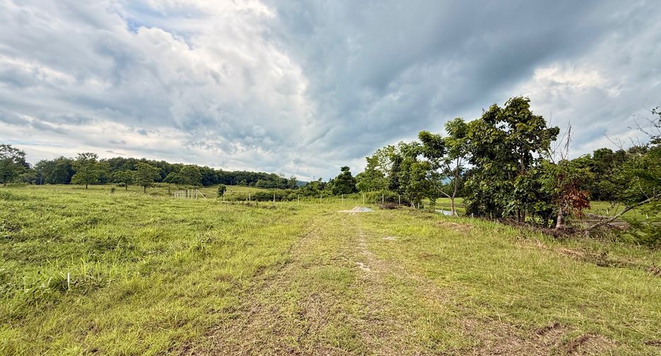 Terreno en venta en Mae Taeng, Chiang Mai