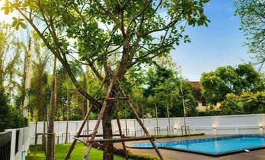 À louer et à vendre 4 chambres villa à Hang Dong, Chiang Mai