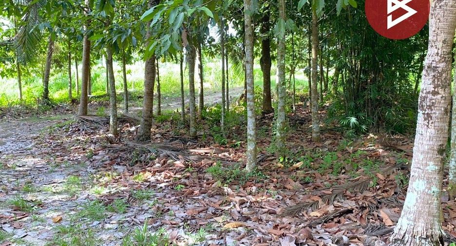 出售 土地 在 Tha Sala, Nakhon Si Thammarat