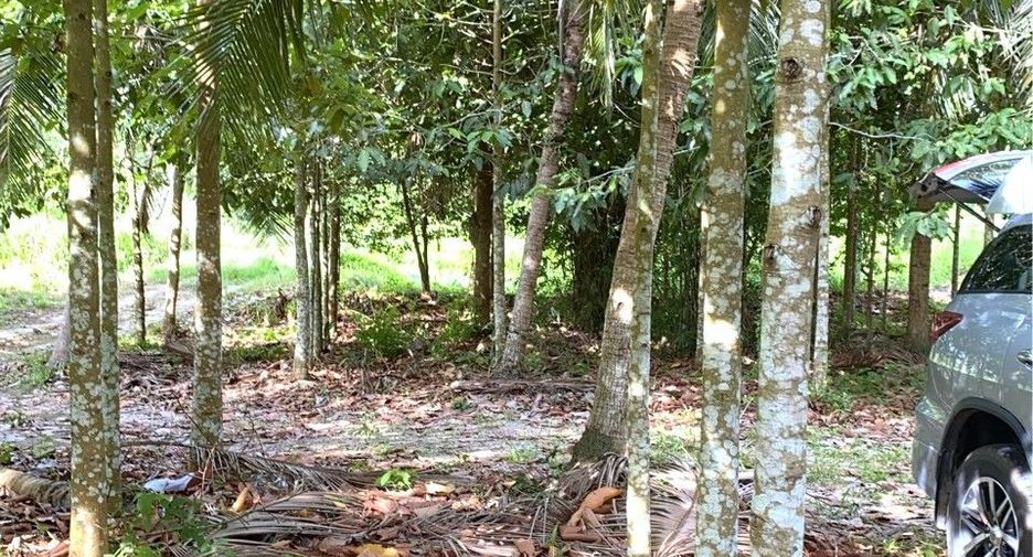出售 土地 在 Tha Sala, Nakhon Si Thammarat