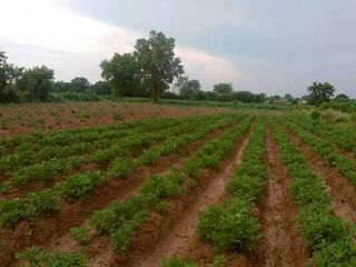 Terreno en venta en Wanon Niwat, Sakon Nakhon