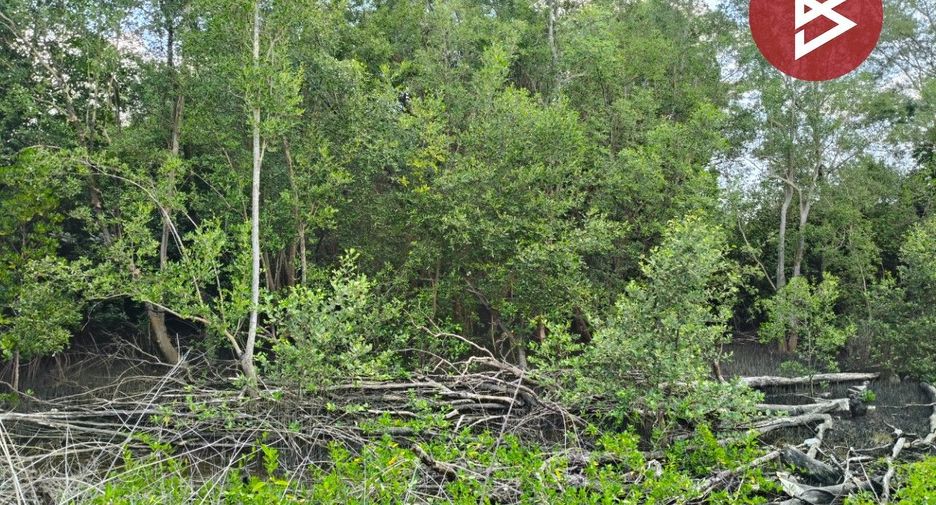 Terreno en venta en Laem Ngop, Trat