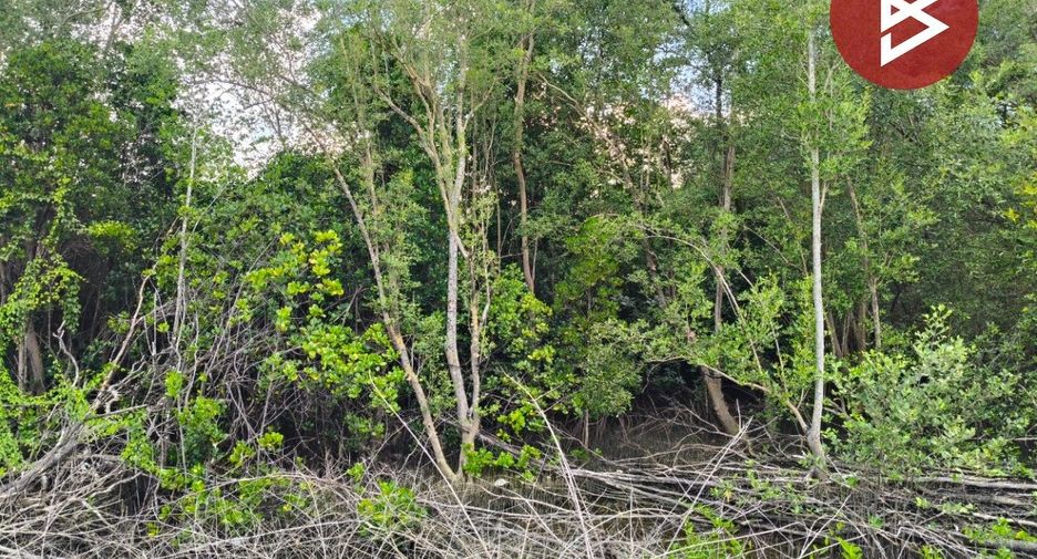 Terreno en venta en Laem Ngop, Trat
