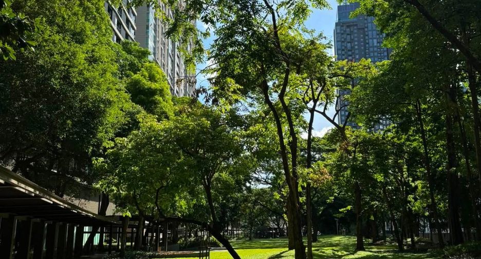 For rent 1 bed condo in Chatuchak, Bangkok