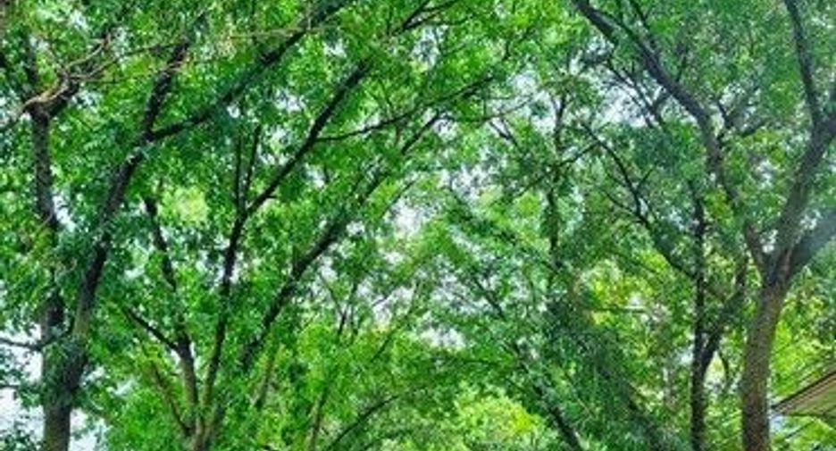 For rent land in Bang Sue, Bangkok