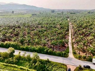 For sale land in Ban Bueng, Chonburi