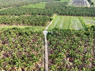 For sale land in Ban Bueng, Chonburi