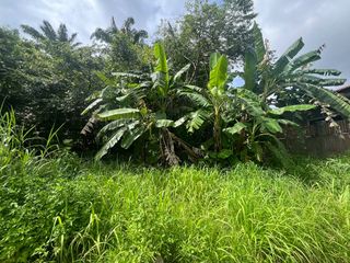 For sale land in Mueang Krabi, Krabi