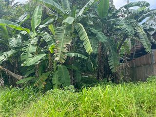 For sale land in Mueang Krabi, Krabi