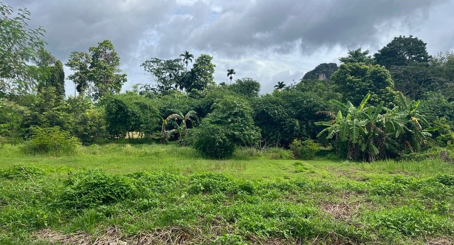 For sale land in Mueang Krabi, Krabi
