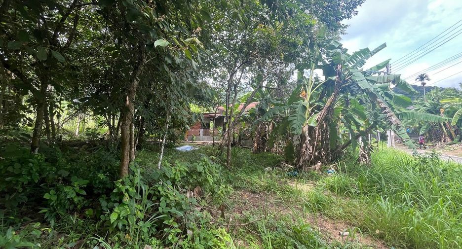 For sale land in Mueang Krabi, Krabi
