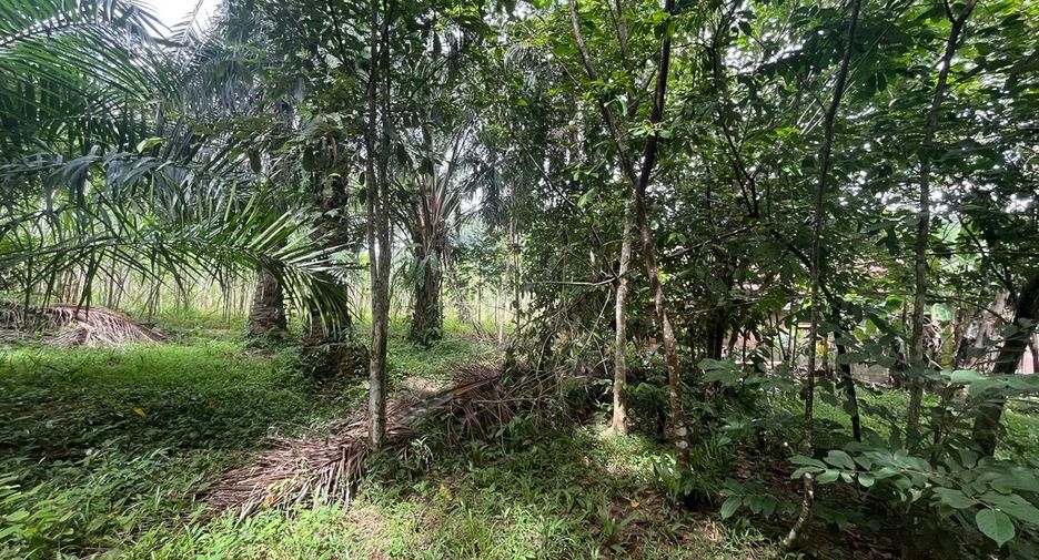 For sale land in Mueang Krabi, Krabi