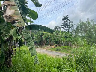 For sale land in Mueang Krabi, Krabi