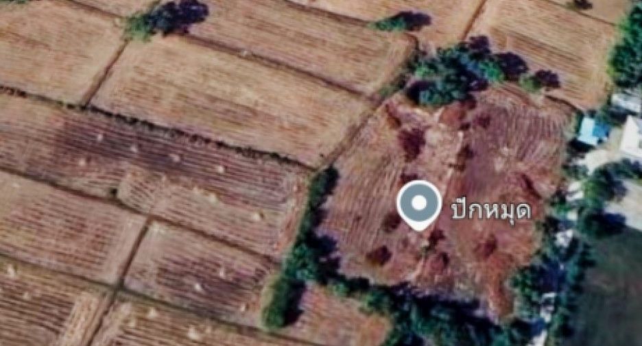 For sale land in Pho Si Suwan, Sisaket