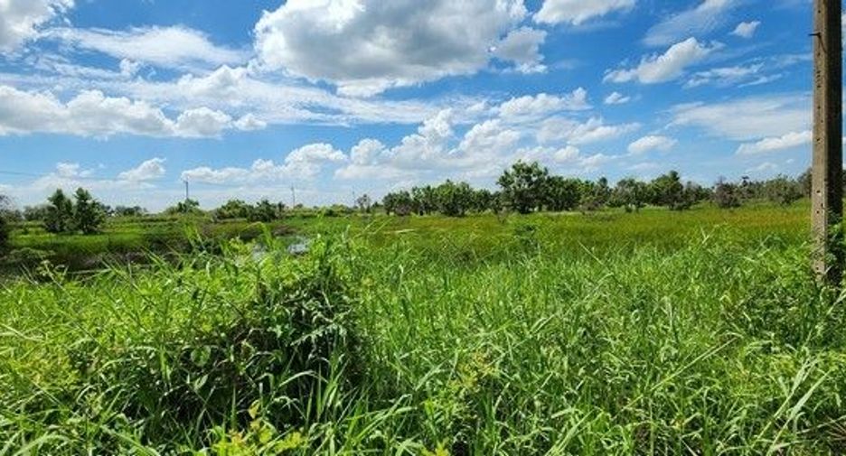 For sale land in Ongkharak, Nakhon Nayok