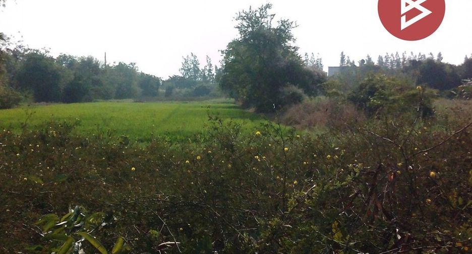 For sale land in Phrom Phiram, Phitsanulok