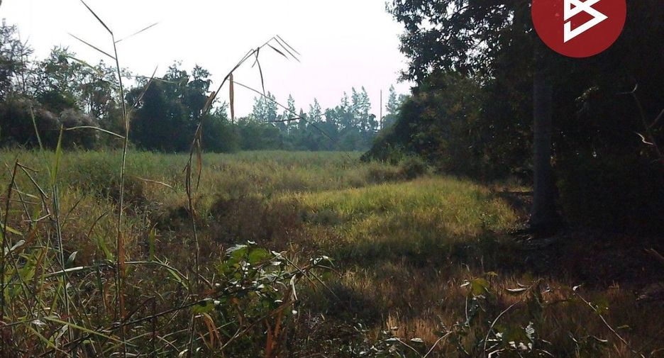 For sale land in Phrom Phiram, Phitsanulok