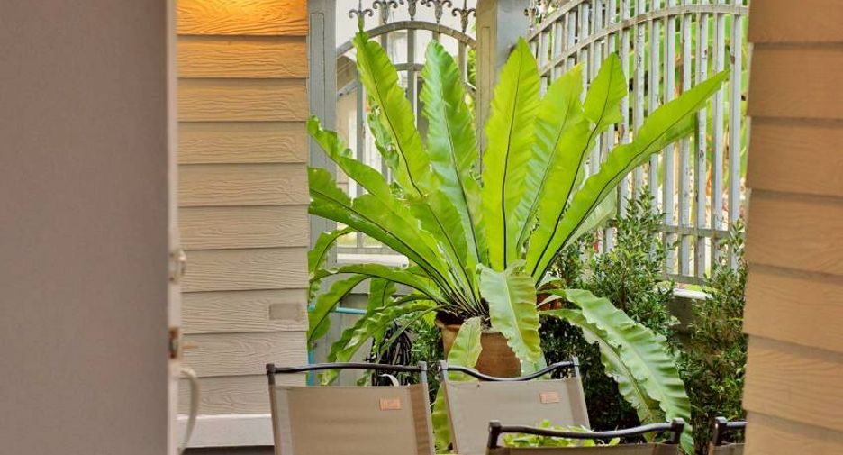 For rent and for sale 3 bedrooms house in Hang Dong, Chiang Mai